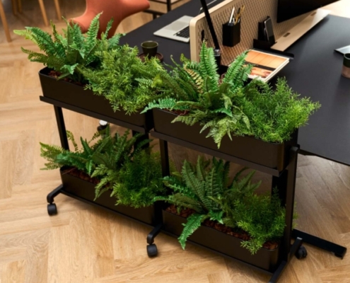 Rumdeler på hjul med planter
